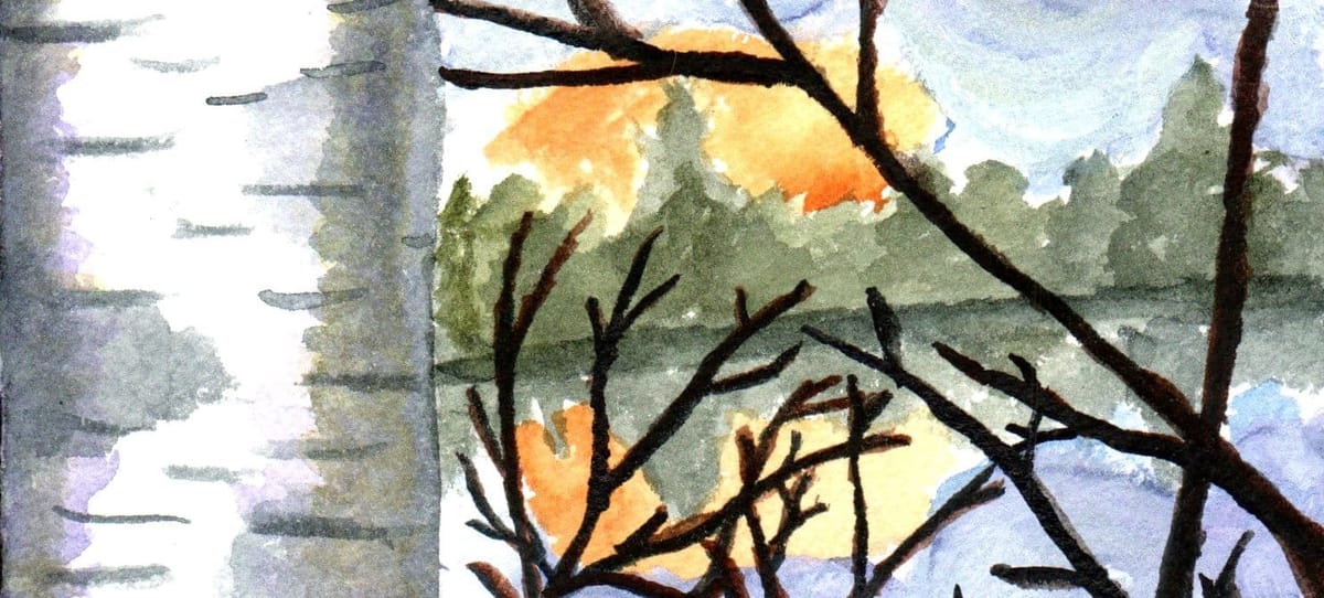 A watercolor painting of a birch tree by a lake with the sun setting behind some trees. 